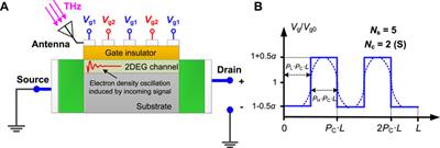 Resonant THz detection by periodic multi-gate plasmonic FETs